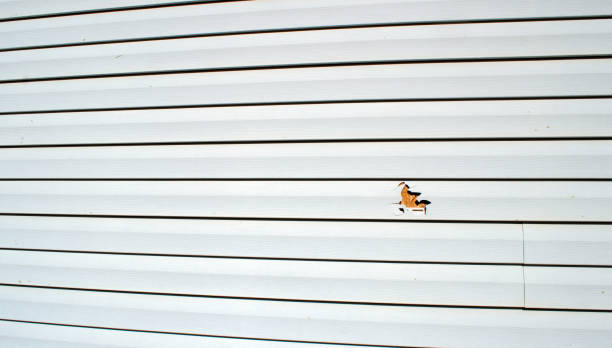 Best Shed Removal  in North Catasauqua, PA